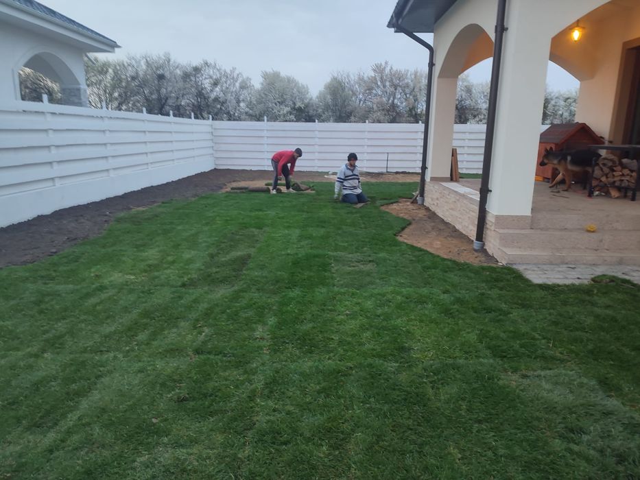 Gazon rulou sport,  23 de lei m2,  transport și montaj inclus în preț.