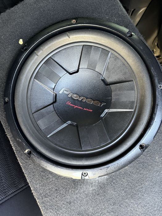 Pionner sambufer chempion ideal