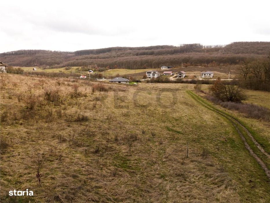RECO Teren intravilan Betfia – Sanmartin
