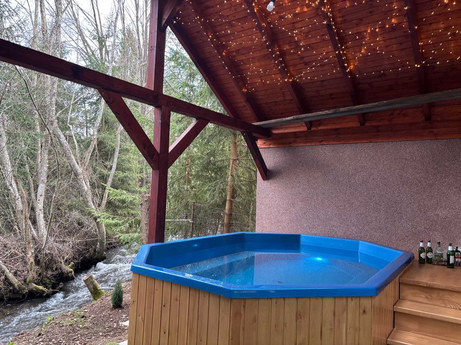 Cabana la munte!