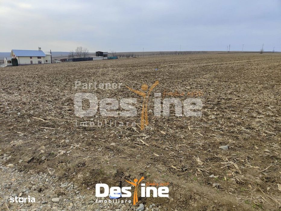 Teren Primarie Dumesti, 8100 mp, front 13 ml,