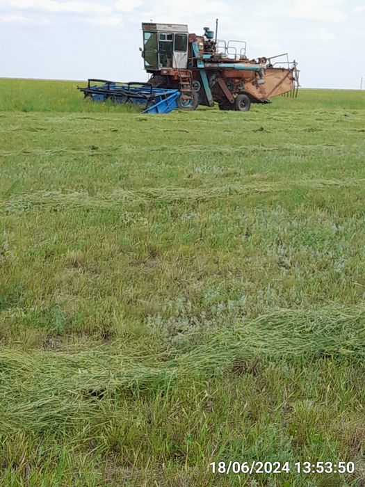 Действующее крестьянское хозяйство.