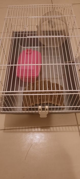 Vand cusca pentru hamsteri Savic