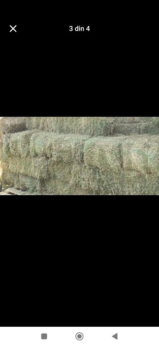 Vând baloți 14 Ron