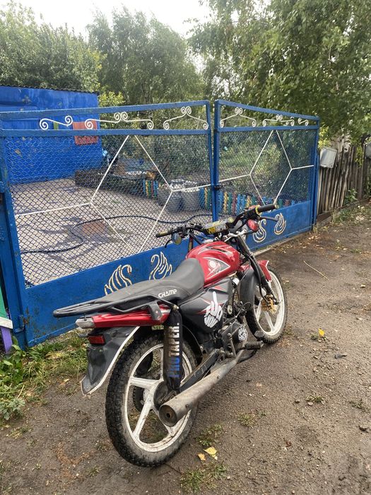 Альфа Champ 125cc 2023 года