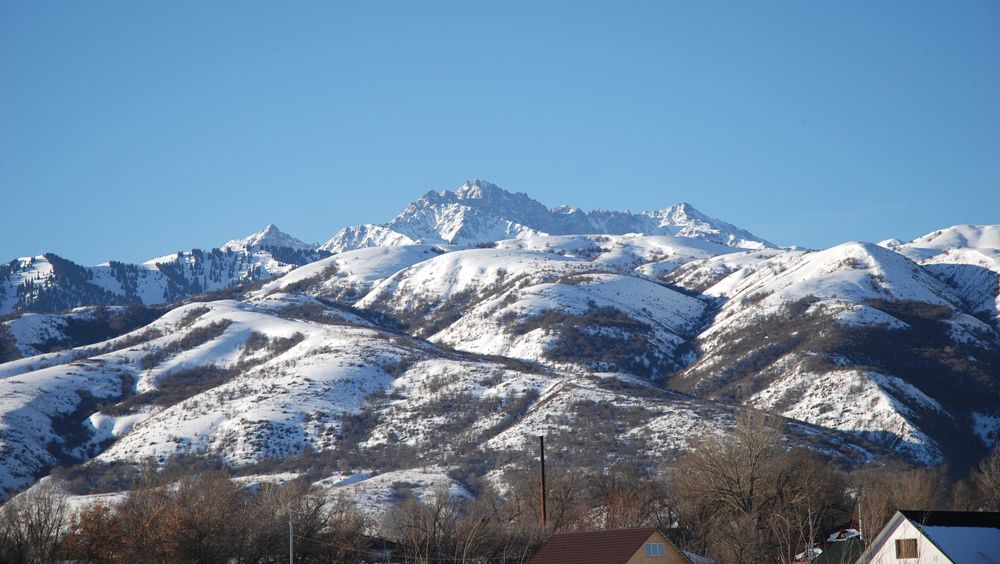 Земельный участок