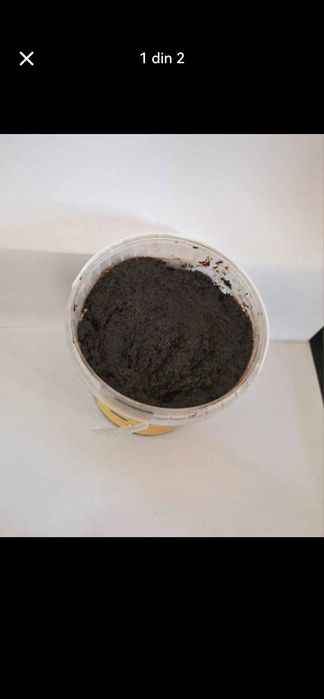 Magiun de prune românești