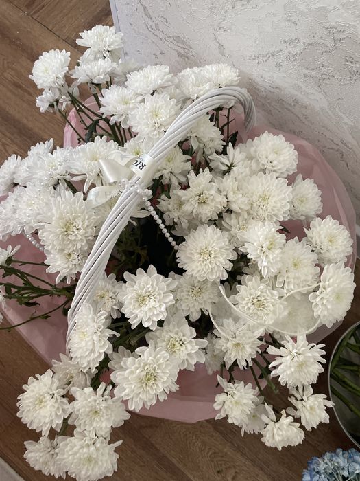 Продается белоснежные хризантемы