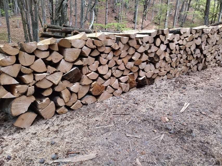 Vând lemn de foc , lemn de fag crăpat. Se oferă si transport .