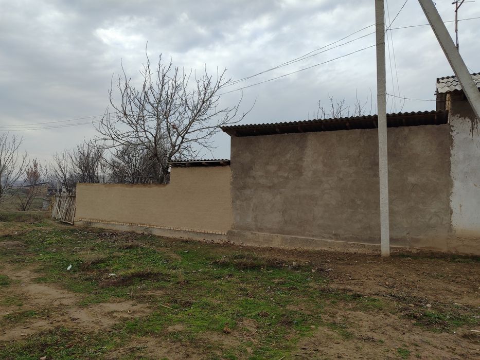 Chinoz tumani Isloxot MFY da xovli sotiladi.Narxi kelishiladi