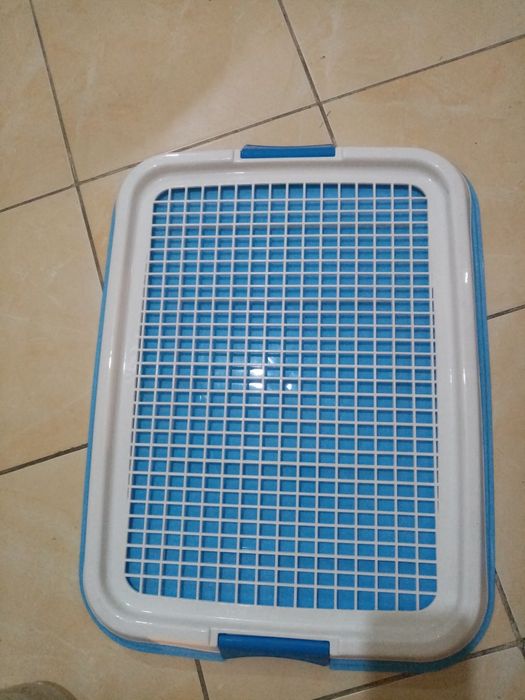 Лоток домашний для маленькой собаки