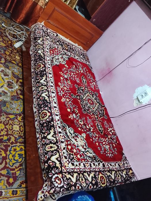 Holati yaxshi turibdi rassiskiy devan