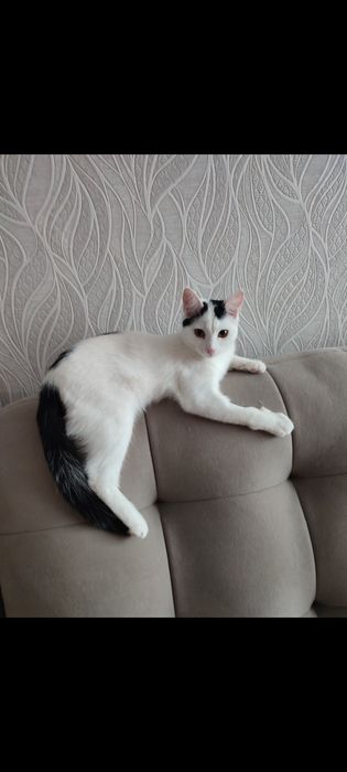 Мальчишки в добрую семью