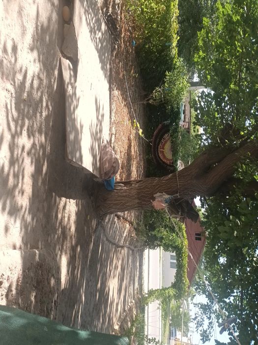 Срочно продаётся квартира 2 микр