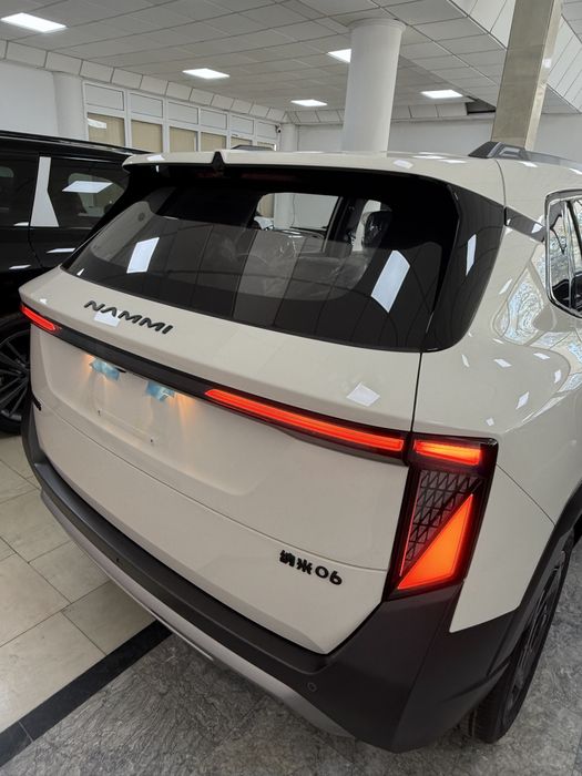 Dongfeng Nammi 06 air