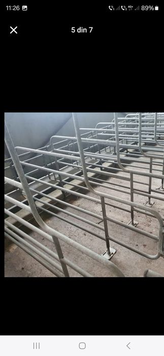 Boxe de fatare suine echipamente ferme zootehnice