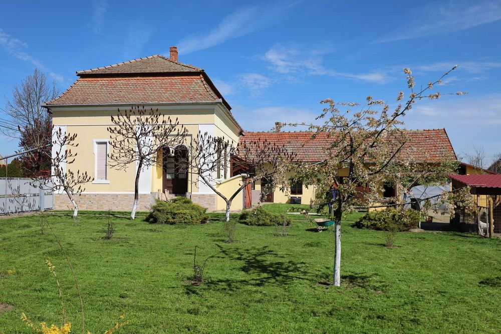 Casă deosebită de vânzare în Comloșu Mare