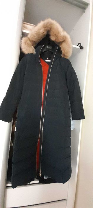 Haina Tommy Hilfiger bleumarin Regular Fit