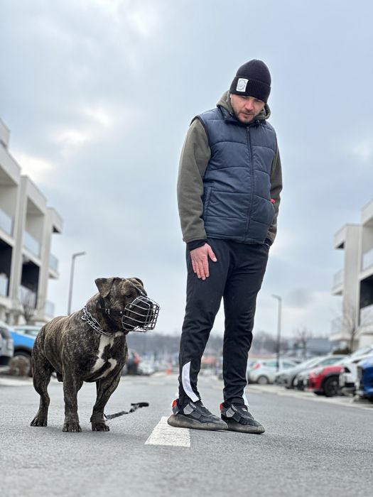 Dresaj Canin la domiciliu DogCare