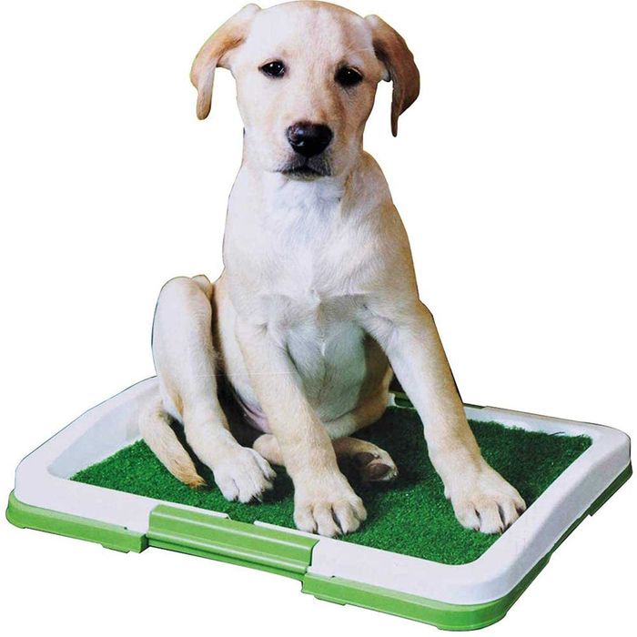 Кучешка тоалетна с изкуствена трева