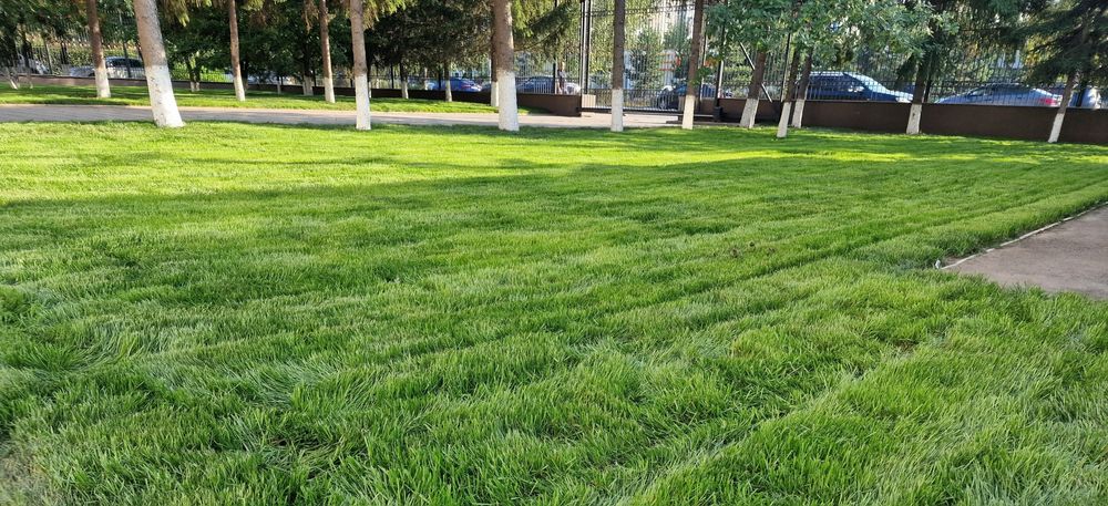 Озеленение благоустройства