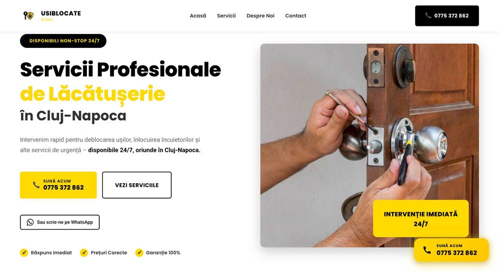 Website profesional, magazin online, platforma web