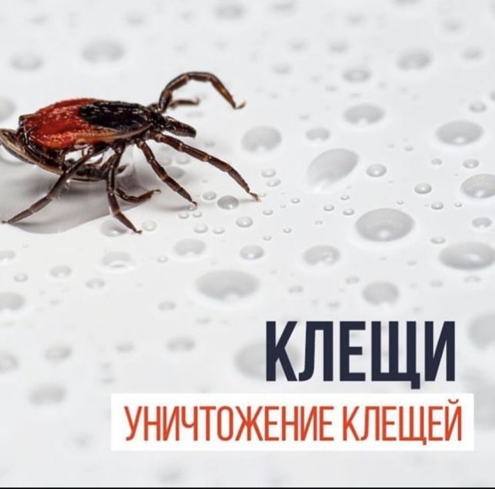Дезинфекция/Дезинсекция/Дератизация 24/7