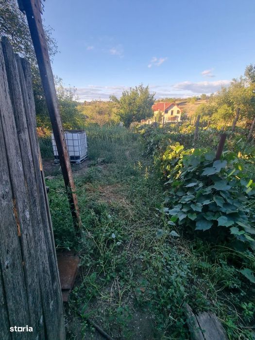 Teren intravilan , 1100mp , front 12,60 m , intrare Filiasi