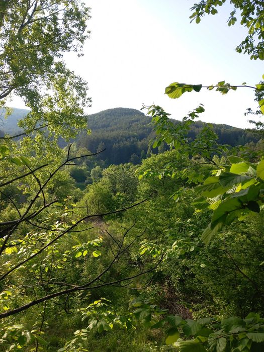 Продава се Къща в с. Люлин, Област Перник - 40 кв.м за 1500 €/кв.м - Снимка #13