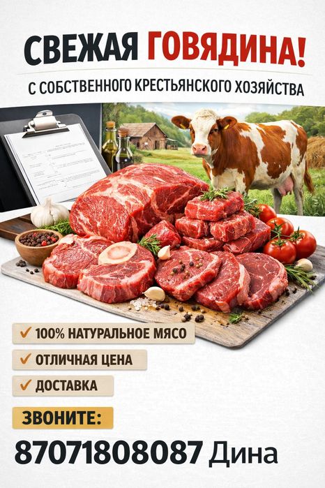 Продам мясо говядина