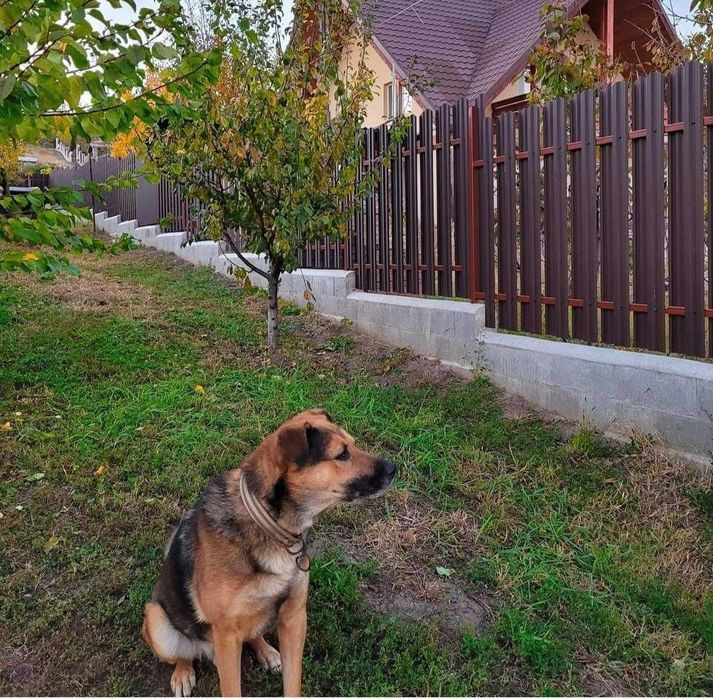 Executam garduri la comanda clientului