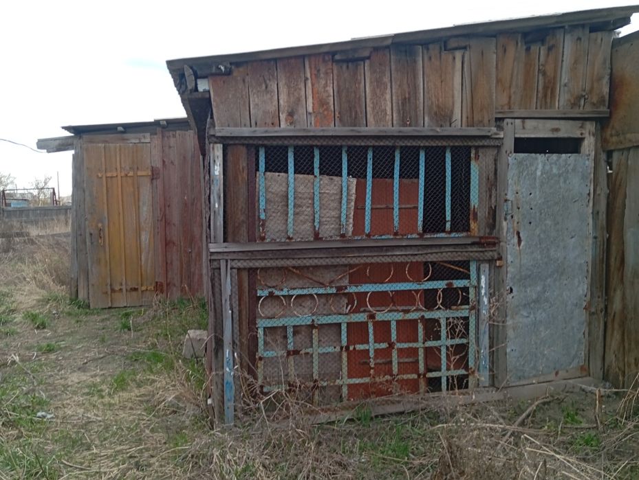 Продам дом в Жалтыре