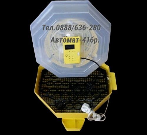 Официален вносител на Румънските инкубатори Cleo5