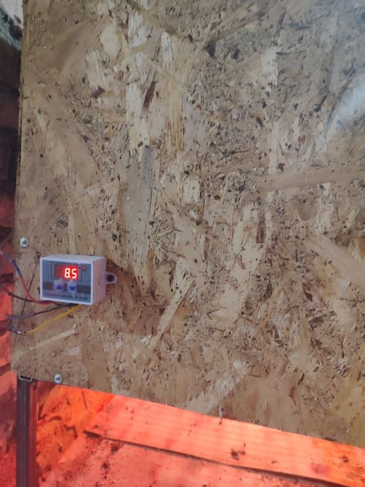 Клетка для бройлеров