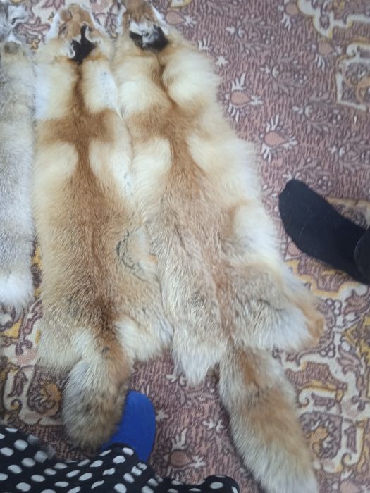 Продам Шкурки Lis