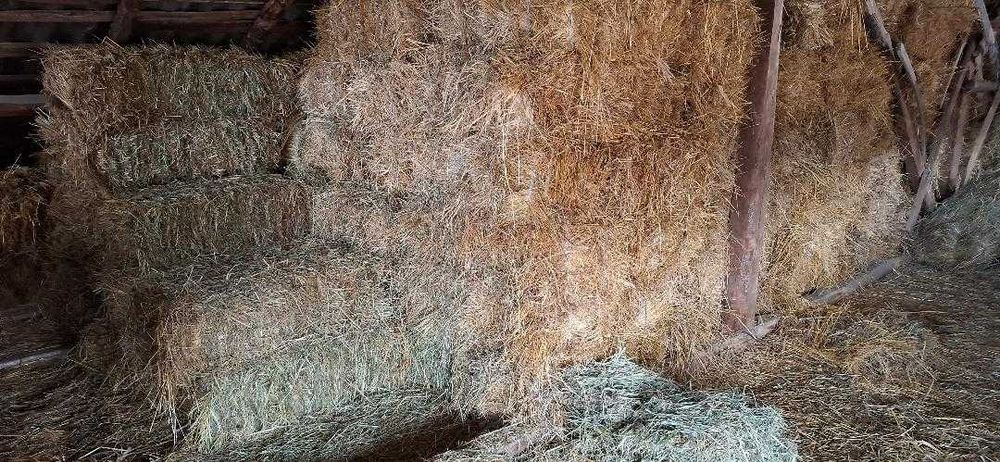 Furaje pentru animale - Baloti