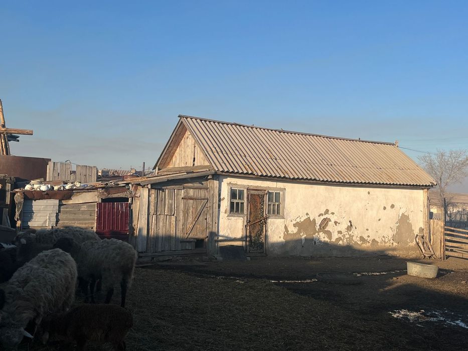 продается дом в селе