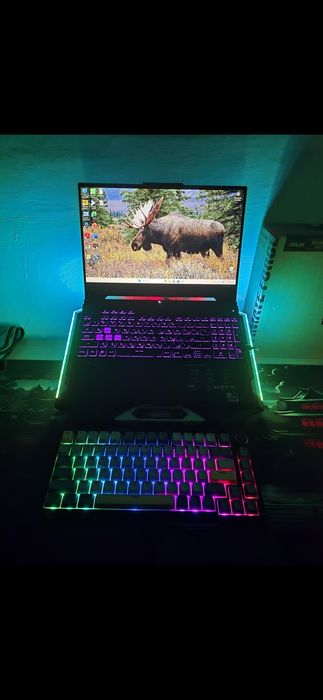 Игровой ноутбук Asus