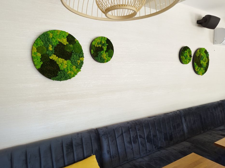 Кръгове със скандинавски мъх