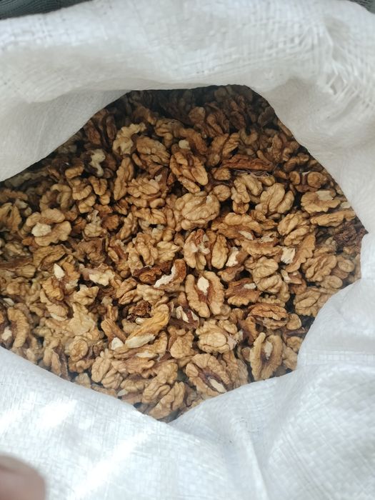 Sâmbure de nucă de vânzare