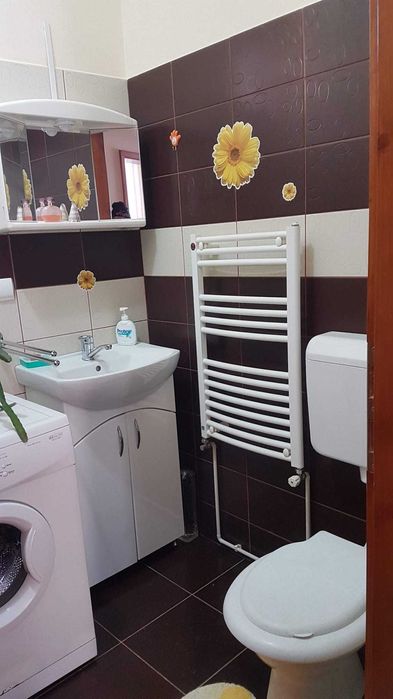 Ofer spre inchiriere apartament ultracentral cu o camera si dependinte