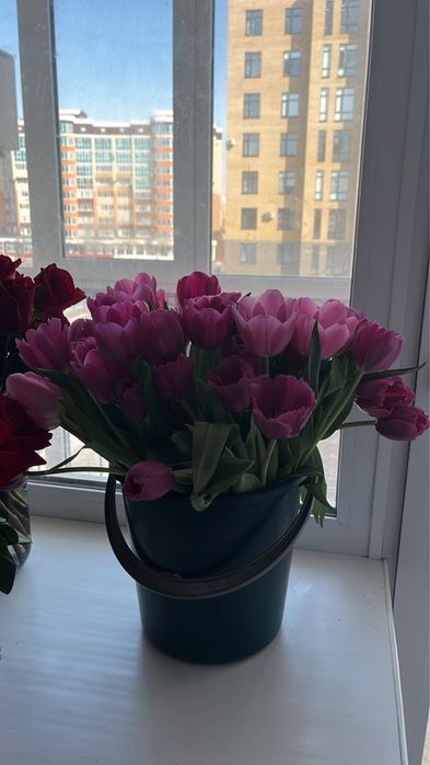 Цветы букеты тюльпаны