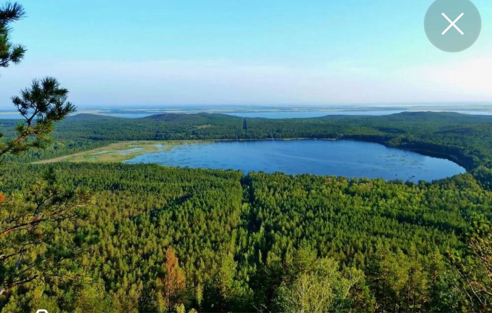Зеренда дома у леса