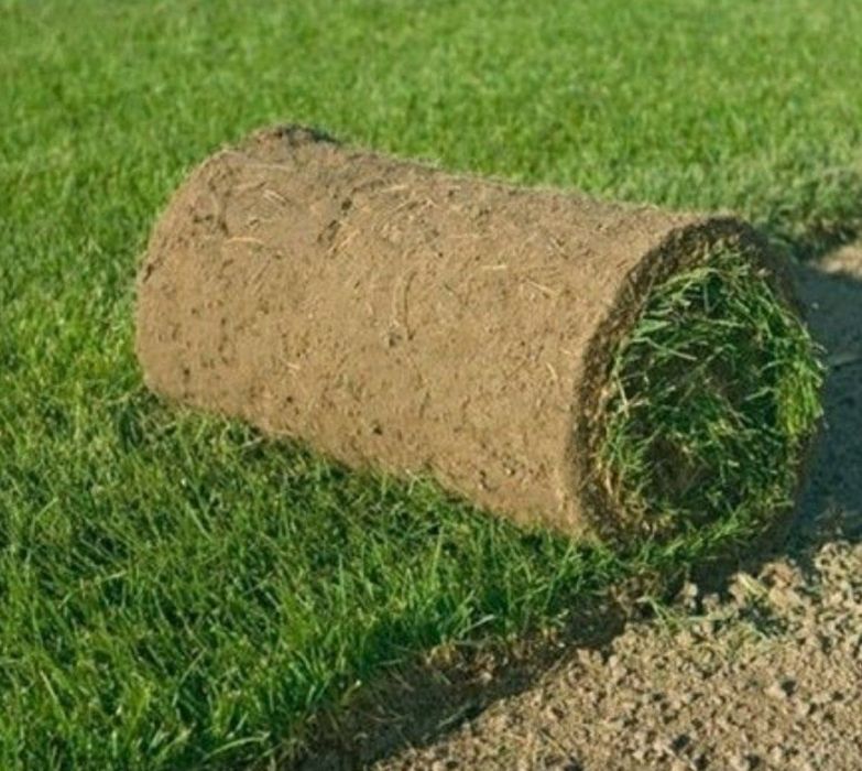 Gazon Ekish va Urug' sepish