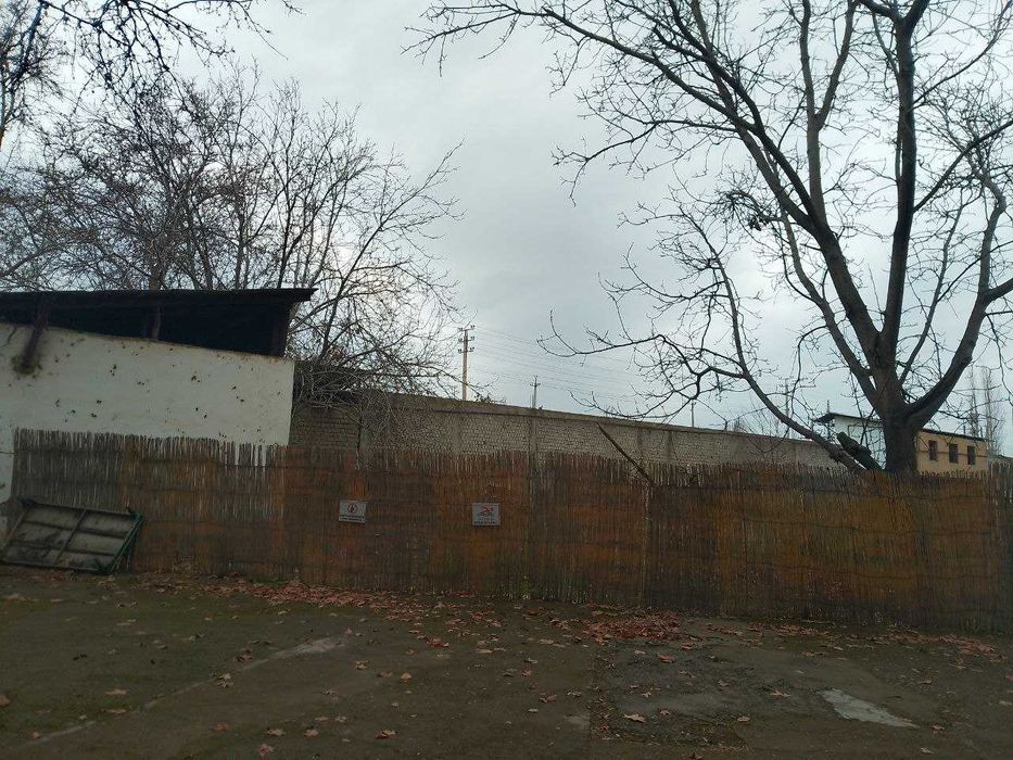 Ер сотилади 93 сотих, Зангиота, Иппадромга 8 км, йул буйида