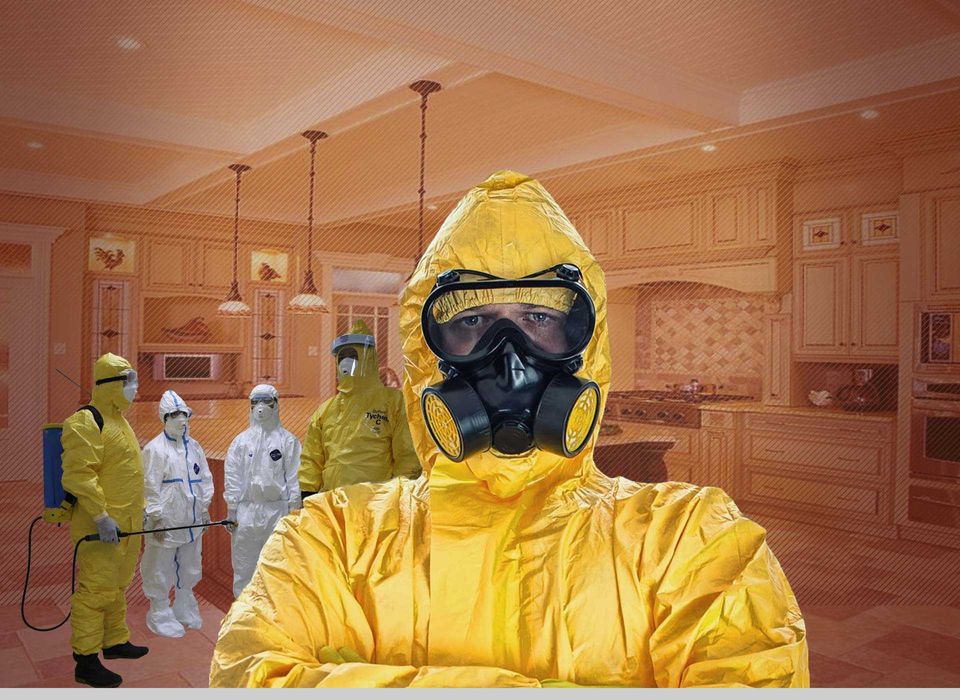 Убойная дезинфекция. Дезинсекция. Безвредно. с гарантией.