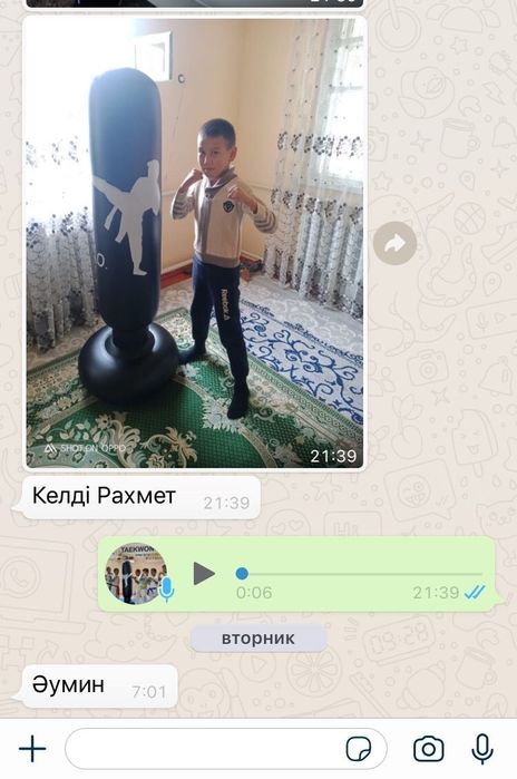 Боксерская груша для детей! Чемпионский Набор