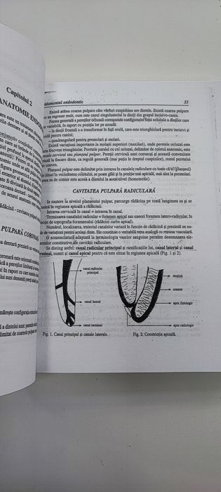 Tratamentul endodontic