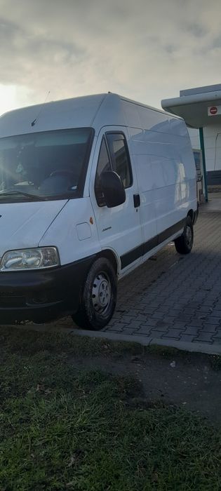 De vanzare citron jumper