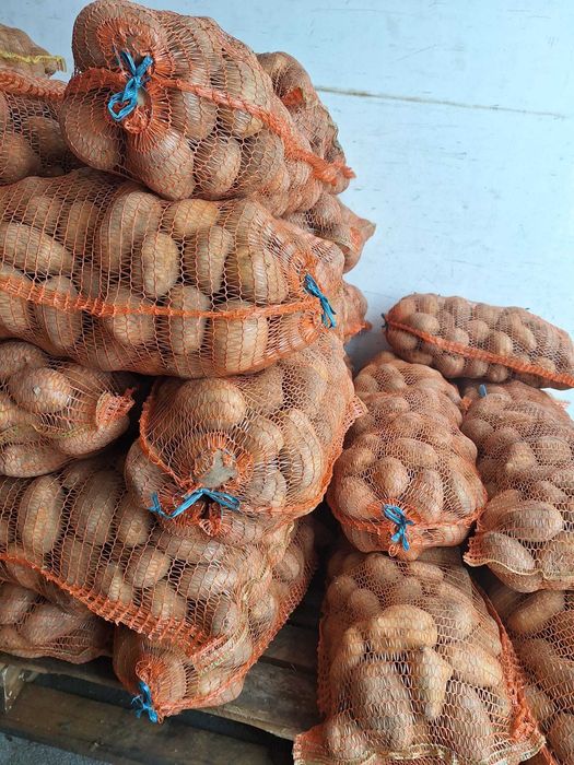 Cartof consum alb si rosu